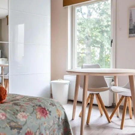 Huiselijke Triplex Op Het Zuid Antwerp