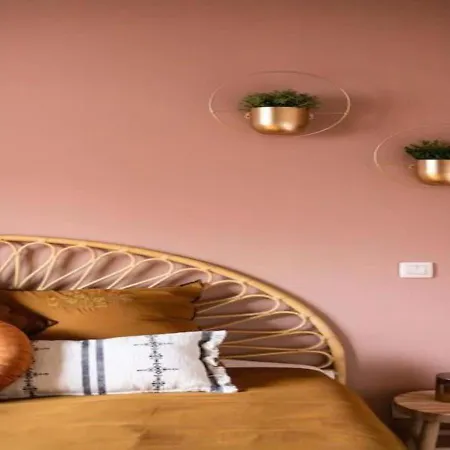 Huiselijke Triplex Op Het Zuid *