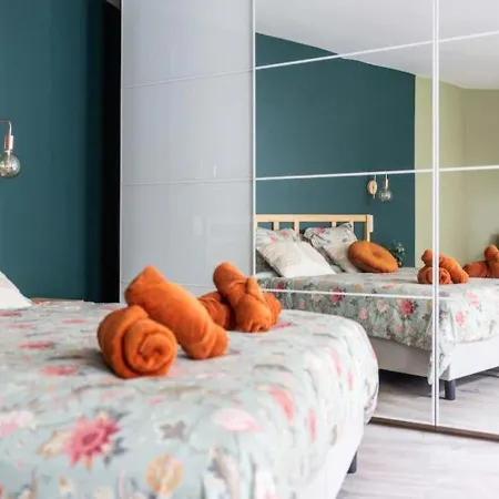 Huiselijke Triplex Op Het Zuid Antwerp